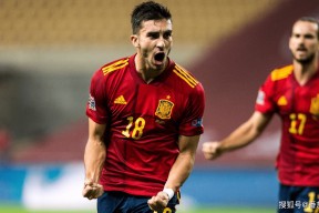 华体会下载-包含法国爆冷西班牙，费兰·托雷斯惊艳世界的词条