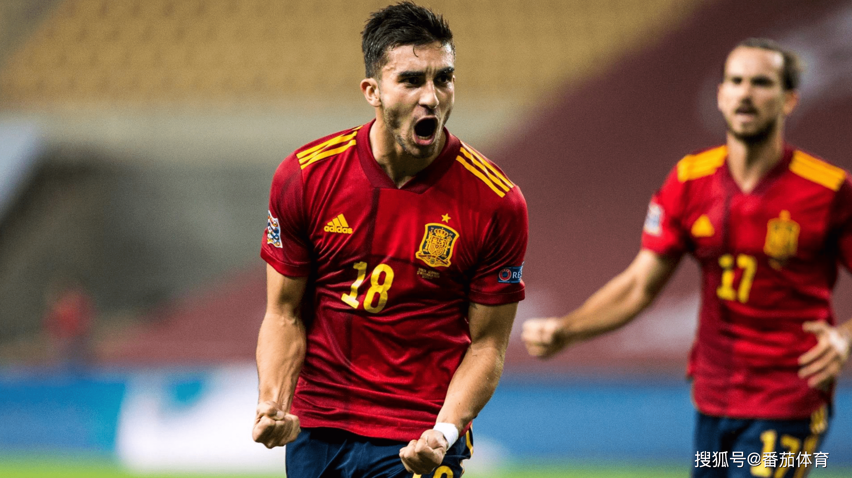 华体会下载-包含法国爆冷西班牙，费兰·托雷斯惊艳世界的词条  第1张