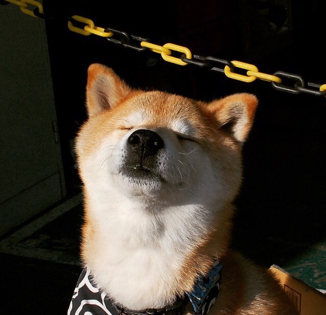 华体会app-平行时空的足球记忆,当丹麦在诺坎普呼啸而过,只有皮克记得自己为何而战 第1张 华体会app-平行时空的足球记忆,当丹麦在诺坎普呼啸而过,只有皮克记得自己为何而战 第1张