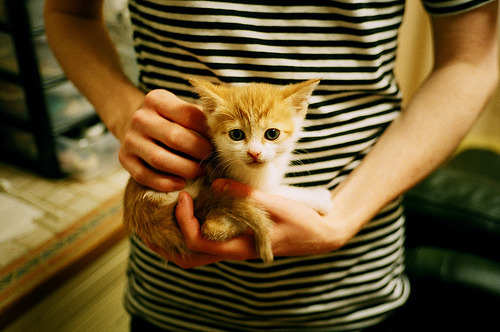 华体会下载-篮球宇宙的奇异交叠,约基奇成为胜负手,解析广东队如何制霸迈阿密 第2张 华体会下载-篮球宇宙的奇异交叠,约基奇成为胜负手,解析广东队如何制霸迈阿密 第2张